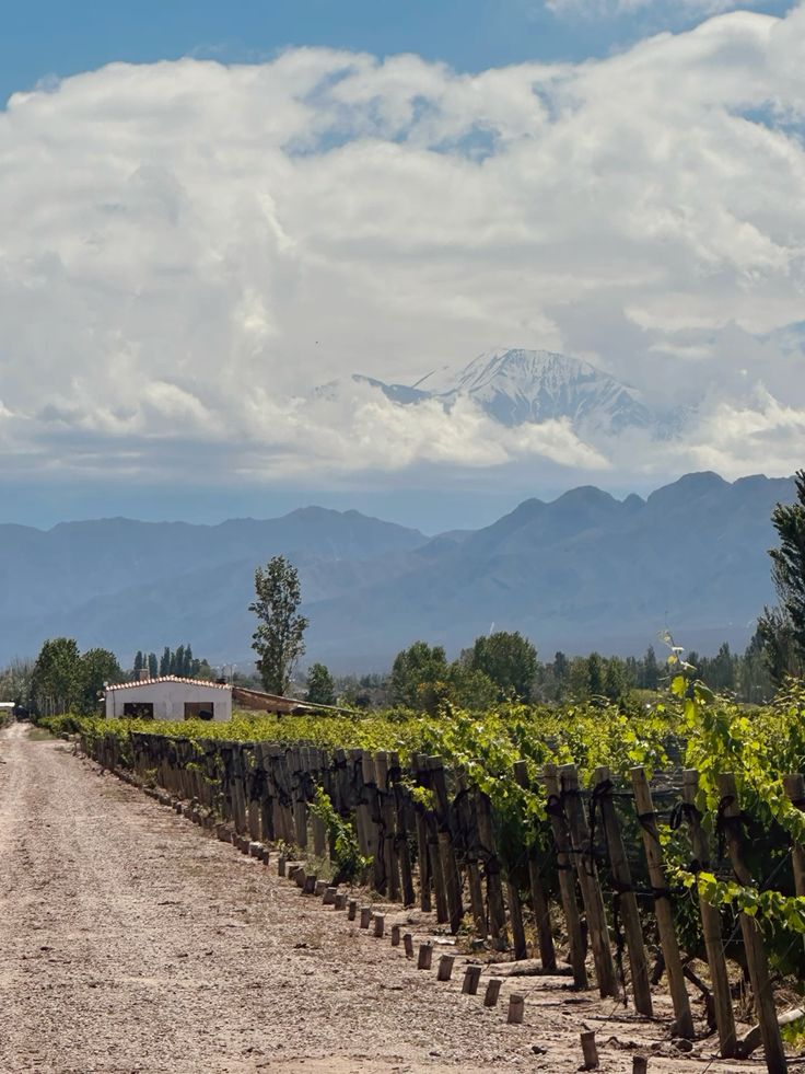 Imágenes: Pinterest 